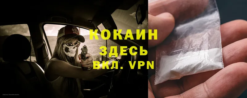 Cocaine Эквадор Ливны